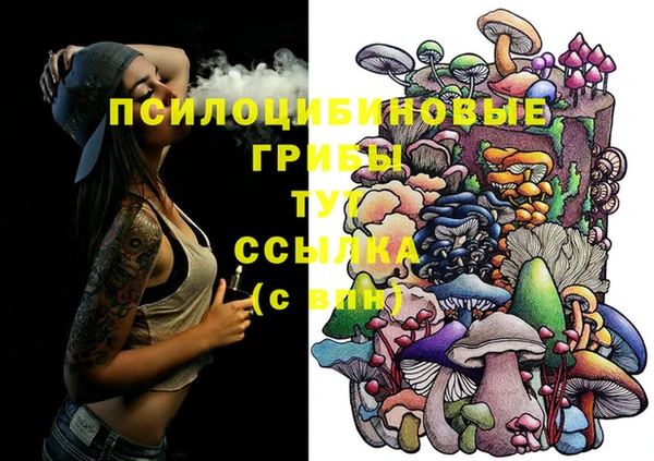 spice Алексин
