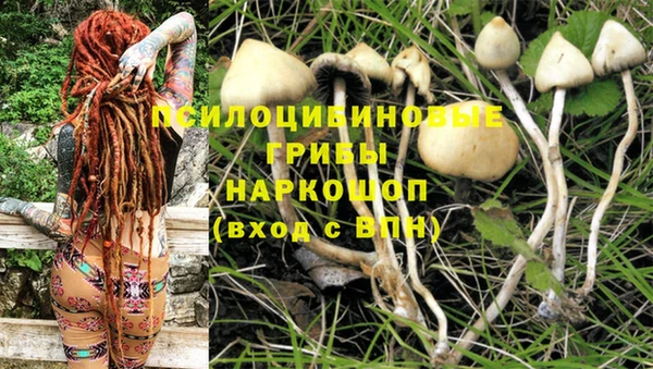спиды Алексеевка